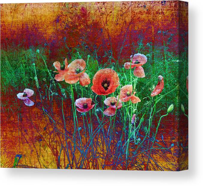 Poppies Canvas Print featuring the photograph Texas Poppies by Karen Castillo