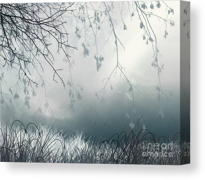 Light Canvas Print featuring the digital art That Streak by Trilby Cole