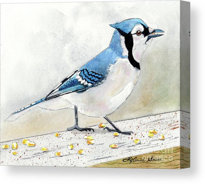Birds Canvas Print featuring the painting The Bluejay, Bird Painting, Bluejay Painting, Bird Print, Bird Painting by LeAnne Sowa