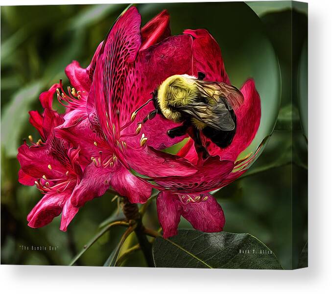 Bumble Bee Canvas Print featuring the photograph The Bumble Bee by Mark Allen