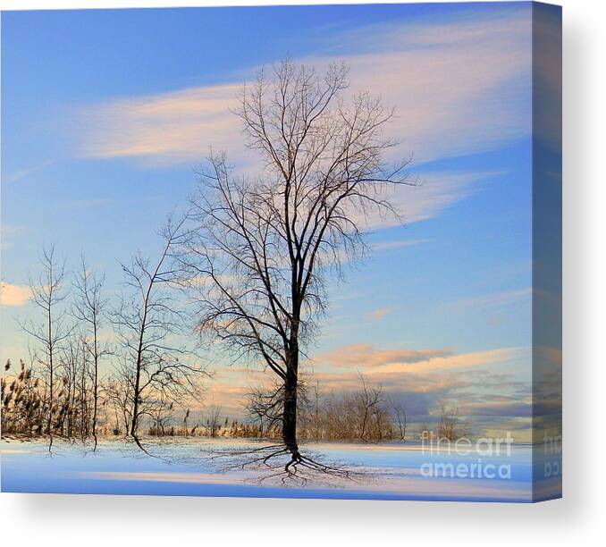 Blue Canvas Print featuring the photograph The Delight by Elfriede Fulda