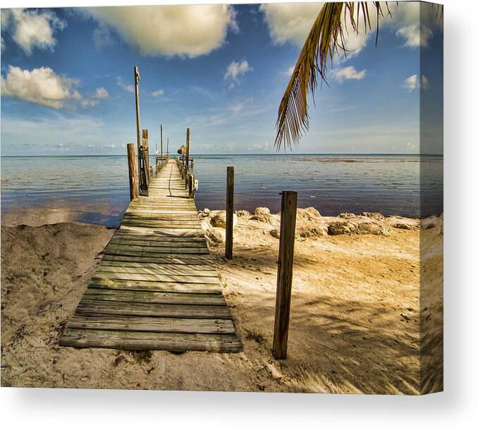 Dock Canvas Print featuring the photograph The Dock by Don Durfee