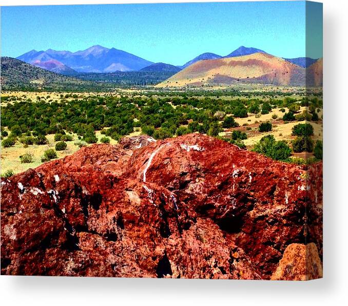 Ruins Canvas Print featuring the photograph The Drama of the High Desert by Michael Oceanofwisdom Bidwell