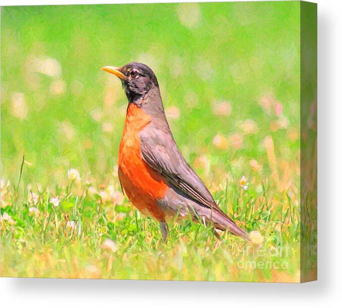 Robin Bird Canvas Print featuring the digital art The Early Bird by Wingsdomain Art and Photography