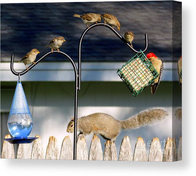 Birds Canvas Print featuring the photograph The Epitome of Patience and Sharing by Lori Lafargue