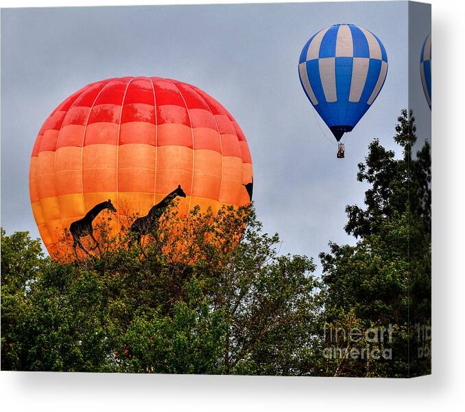 Giraffes Canvas Print featuring the photograph The Giraffes Are Coming by Steve Brown