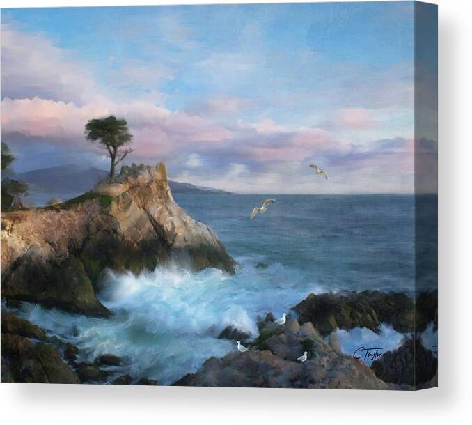 The Lone Cypress Canvas Print featuring the mixed media The Gritty Lone Cypress Tree by Colleen Taylor