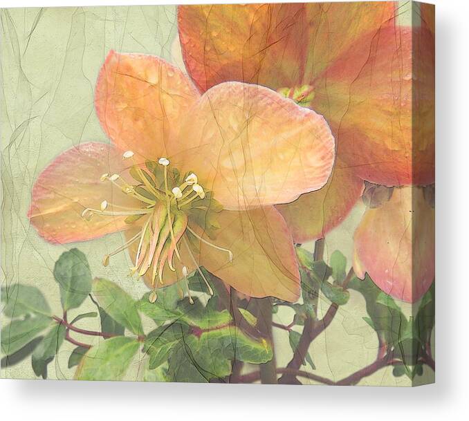 Mystical Energy Canvas Print featuring the photograph The Mystical Energy of Nature by I'ina Van Lawick