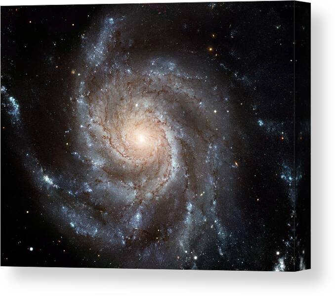 Pinwheel Canvas Print featuring the painting The Pinwheel Galaxy by Hubble Space Telescope