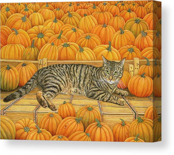 Pumpkin Canvas Print featuring the painting The Pumpkin Cat by Ditz