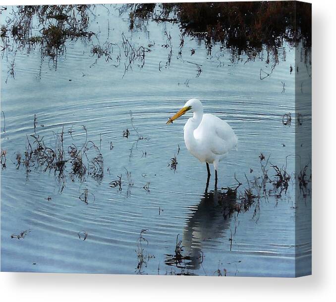 Egret Canvas Print featuring the photograph The Small Fish by Timothy Bulone