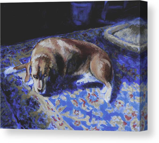 Dog On A Rug Canvas Print featuring the painting The Sunbather by David Zimmerman