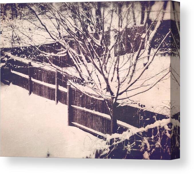 Winter Of My Content Canvas Print featuring the photograph The Winter of My Content by Susan Maxwell Schmidt