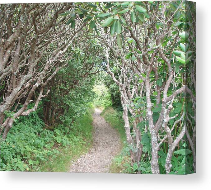 Path Canvas Print featuring the photograph There is a Path by Allen Nice-Webb