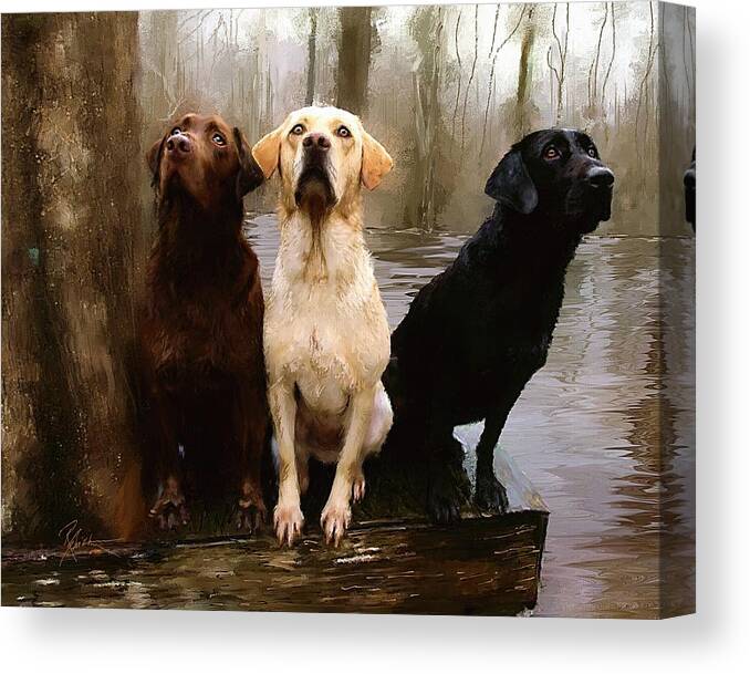 Lab Canvas Print featuring the painting Three Labs by Robert Smith