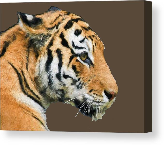 Tiger Canvas Print featuring the digital art Tiger Tiger by Roy Pedersen
