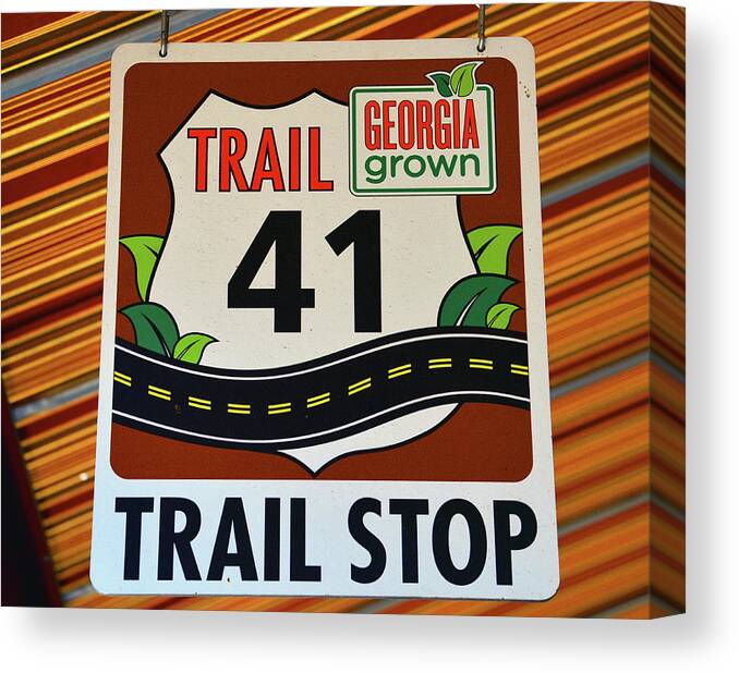 Trail 41 Stop Canvas Print featuring the photograph Trail 41 stop by David Lee Thompson