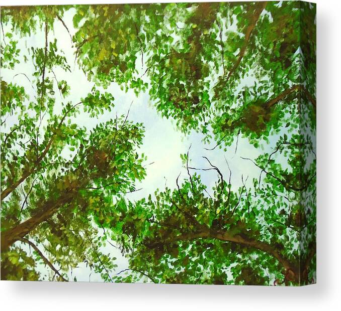Forest Sky Canvas Print featuring the painting Tree Haven by Jen Shearer