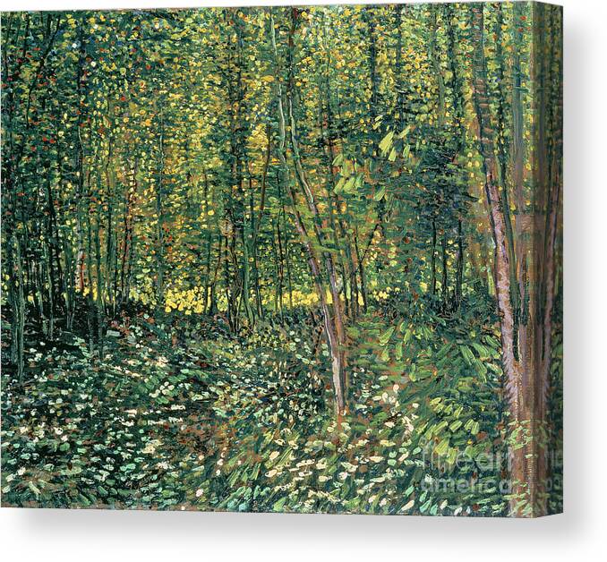 Van Gogh Canvas Print featuring the painting Trees and Undergrowth by Vincent Van Gogh
