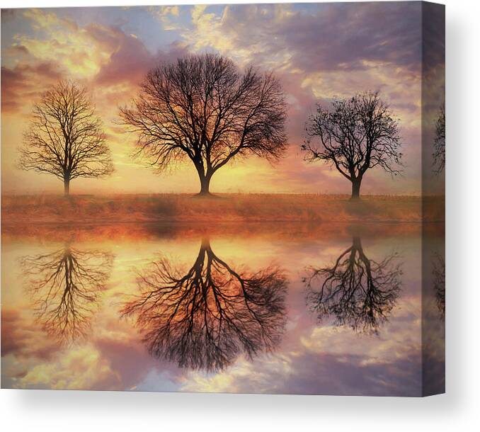 Tree Canvas Print featuring the mixed media Trio of Trees by Lori Deiter