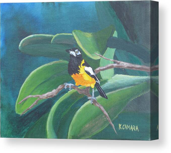 Landscape Canvas Print featuring the painting Troupial by Kathie Camara