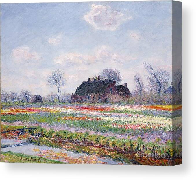 Tulip Fields At Sassenheim Canvas Print featuring the painting Tulip Fields at Sassenheim by Claude Monet
