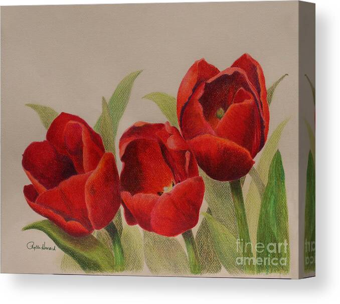 Tulips Canvas Print featuring the drawing Tulip Trio by Phyllis Howard