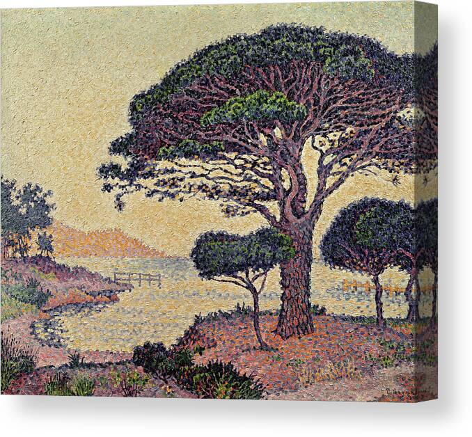 Umbrella Pines At Caroubiers Canvas Print featuring the painting Umbrella Pines at Caroubiers by Paul Signac