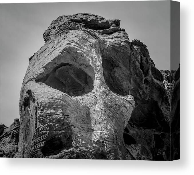 Nevada Canvas Print featuring the photograph Valley of Fire IX BW by David Gordon