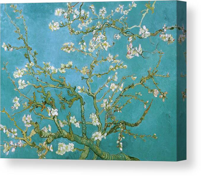 Van Gogh Canvas Print featuring the painting Van Gogh Blossoming Almond Tree by Vincent Van Gogh