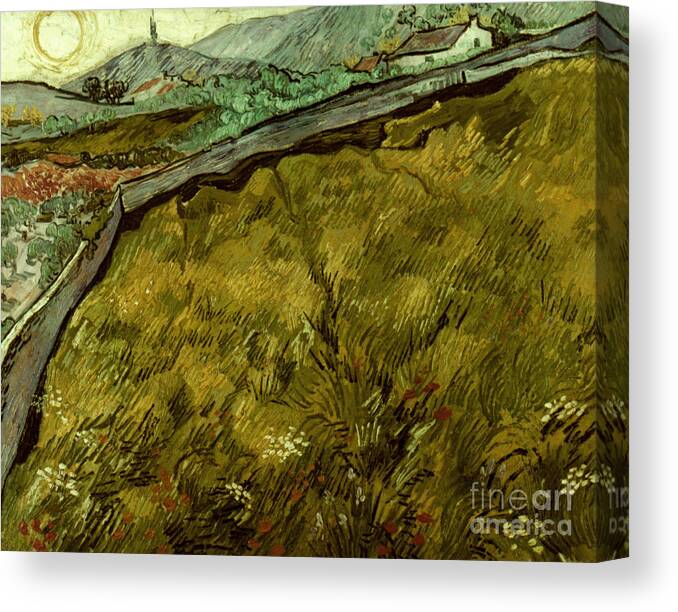 1890 Canvas Print featuring the photograph Van Gogh: Field, 1890 by Granger