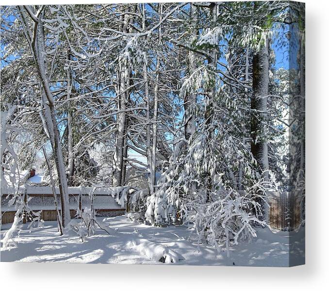 Winter Canvas Print featuring the photograph View from my Window by Lyuba Filatova