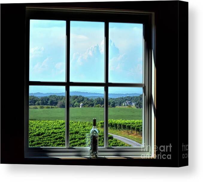 Vineyard Canvas Print featuring the photograph View Through The Window by Kerri Farley