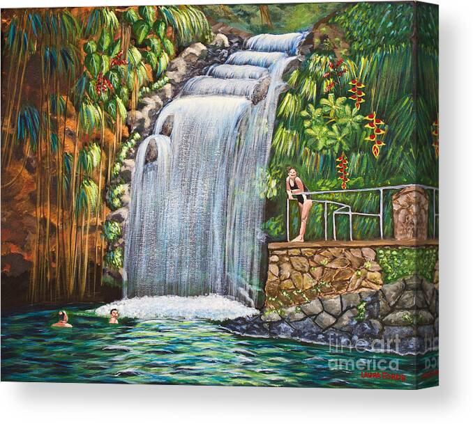 Annandale Waterfall Canvas Print featuring the painting Visitors To The Falls by Laura Forde