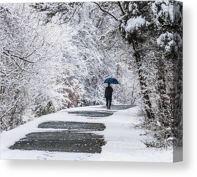 Gaithersburg Canvas Print featuring the photograph Walk in the Woods in the Snow, Gaithersburg by Thomas Marchessault