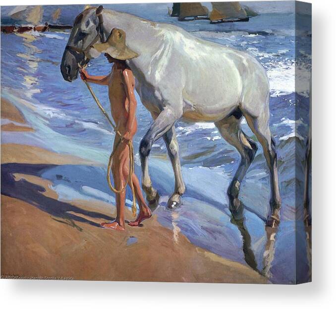 Sorollas Canvas Print featuring the painting Washing the Horse by Juaquin Sorolla