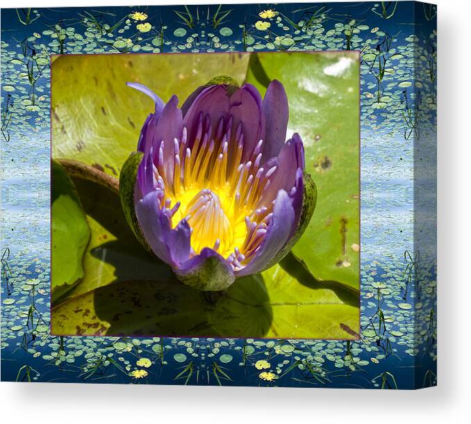 Nature Photos Canvas Print featuring the photograph Water Chalice by Bell And Todd