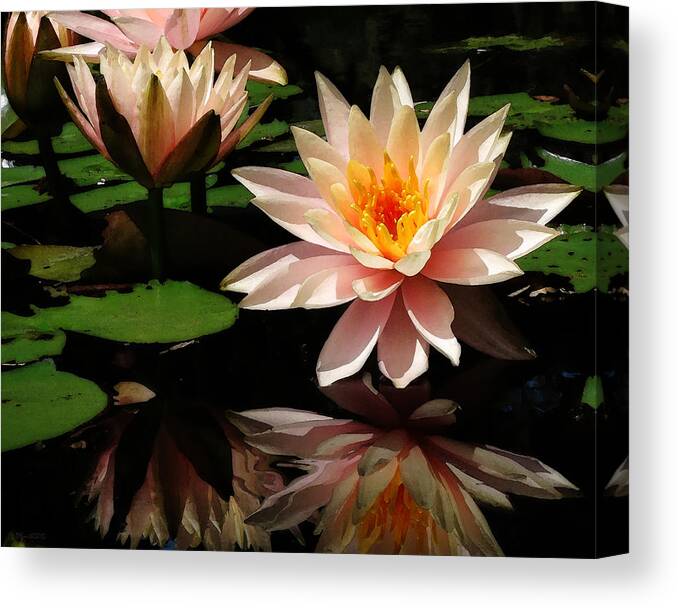 Photo Canvas Print featuring the photograph Water Lily in Sunshine by Deborah Smith