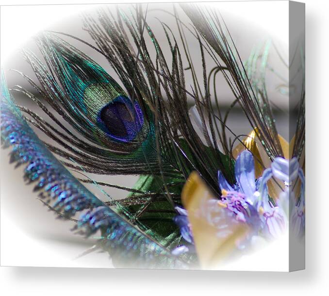 Feather Canvas Print featuring the photograph Wedding Peacock Feather by Karen Musick