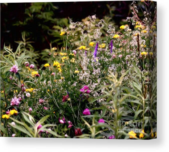 Flower Canvas Print featuring the painting Wildflowers by Smilin Eyes Treasures