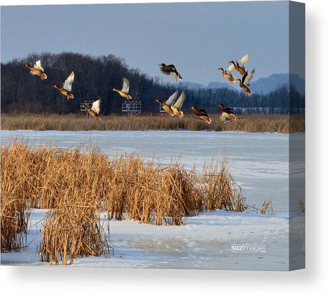 Winona Mn Canvas Print featuring the photograph Winona Airport by Susie Loechler
