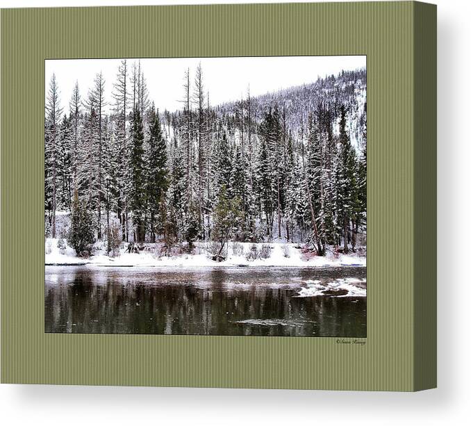 Montana Canvas Print featuring the photograph Winter Trees by Susan Kinney