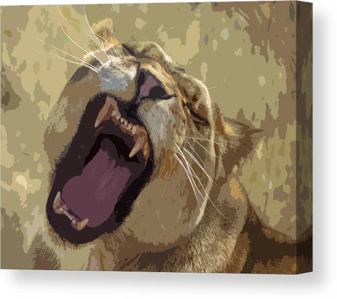 Feline Canvas Print featuring the photograph Yawning Lioness by Laurel Powell
