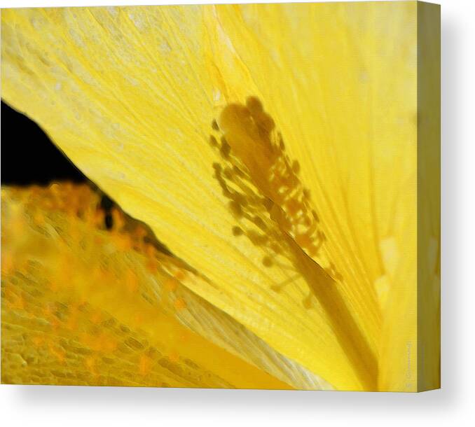 Hibiscus Canvas Print featuring the painting Yellow Flower - Hibiscus Shadow - Sharon Cummings by Sharon Cummings