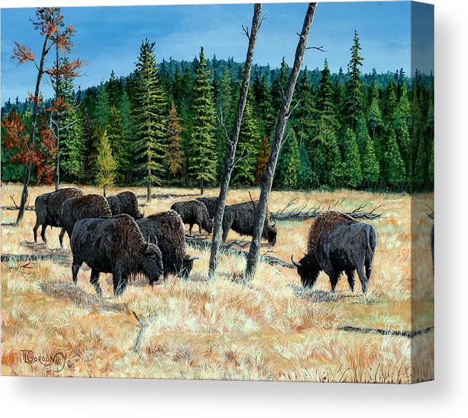 Tim Gordon Canvas Print featuring the painting Yellowstone Grazers by Timithy L Gordon