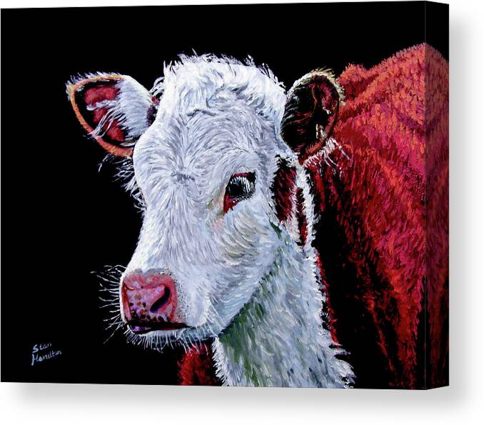 Calf Canvas Print featuring the painting Young Bull by Stan Hamilton