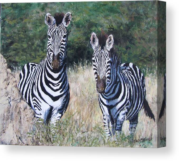 Zebras Canvas Print featuring the painting Zebras in South Africa by Jack Skinner