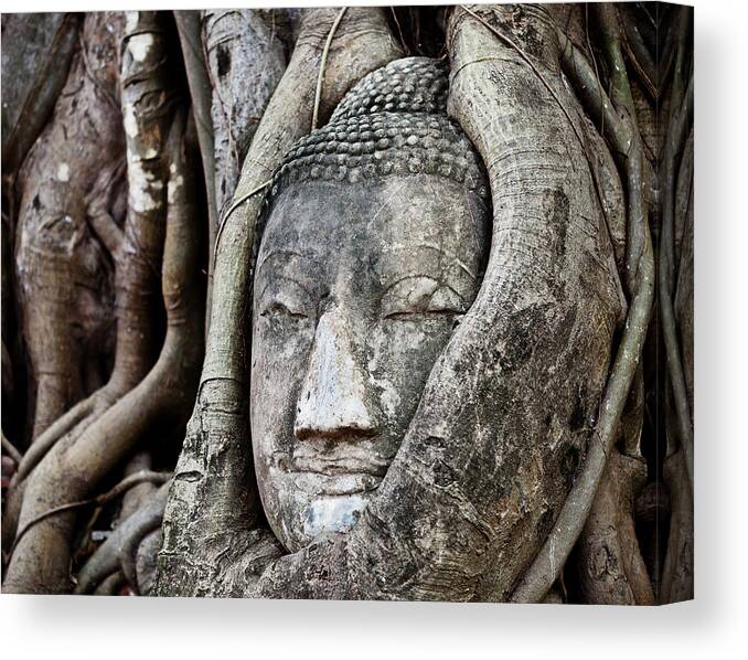 Art Canvas Print featuring the photograph Buddha Head Wrapped In A Tree #1 by Traveler1116