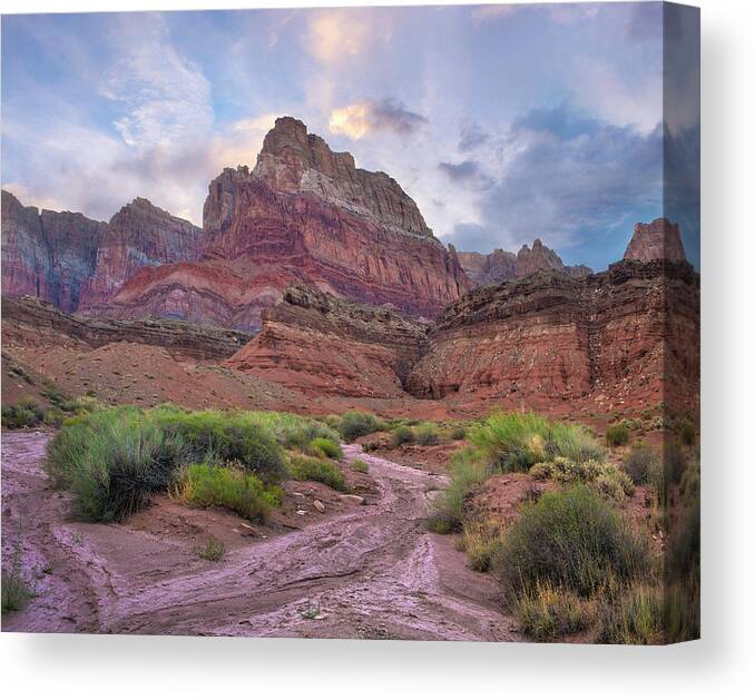 00574850 Canvas Print featuring the photograph Desert And Cliffs, Vermilion Cliffs by Tim Fitzharris