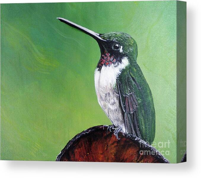 Hand Painted Original Art Canvas Print featuring the painting Ruby Throated Hummingbird #1 by Lizi Beard-Ward